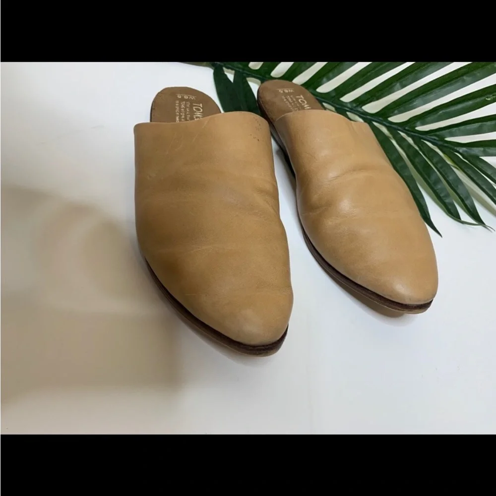 Tom’s Jetta slip on mules. - Picture 4 of 5